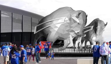 The bison family statues design revealed!