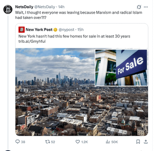 What's the deal with NetsDaily X Account