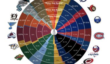 With the loss to EDM, the Ducks playoff odds have gone down from 99.98% to 99.95%