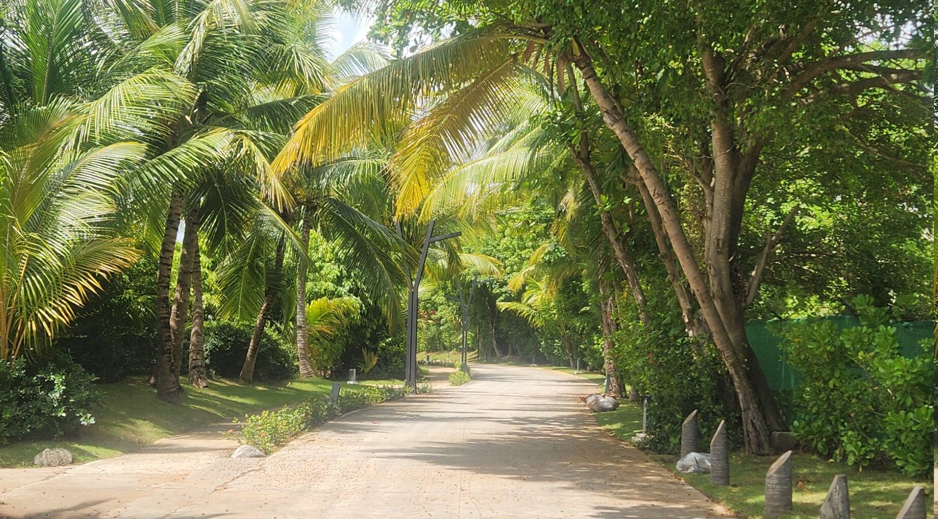 Flames (30-34-8) vs Canucks (21-42-8) - march 28th - GDT