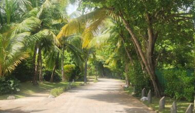 Flames (30-34-8) vs Canucks (21-42-8) - march 28th - GDT