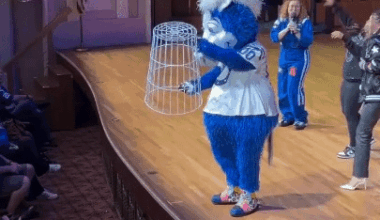 Mascot hates the rich people with expensive seats.