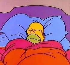 How I sleep knowing Caleb Williams is my quarterback and Ben Johnson is my head coach