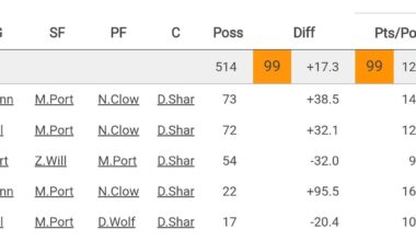 Day'ron Sharpe & Michael Porter Jr have a +17.3 net rating in 500+ possessions when sharing the court (as long as Nolan traore is not on the court). One of the best pairings in the NBA