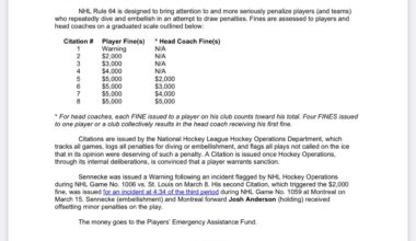 Bucket fined for embellishment