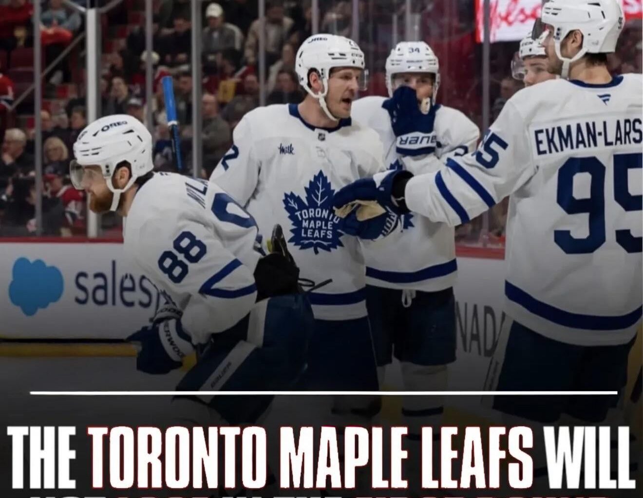 Leafs will not lose in the first round this year