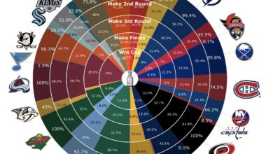 The Anaheim Ducks have a 98.3% chance to make the playoffs