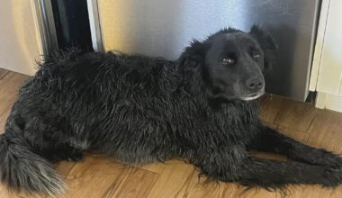 Flames (26-34-7) vs Blues (27-30-10) - March 18th - GDT