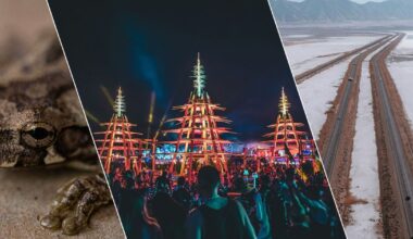 Cooling stations, WNBA labor deal and Railroad Valley toad protections