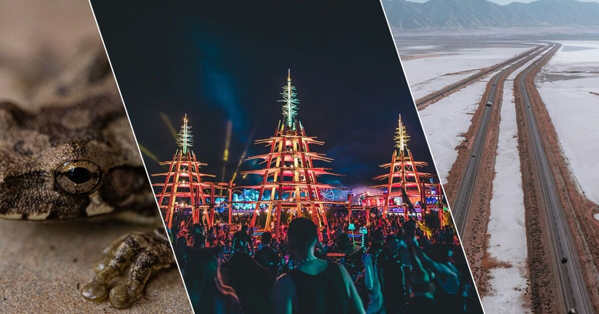 Cooling stations, WNBA labor deal and Railroad Valley toad protections