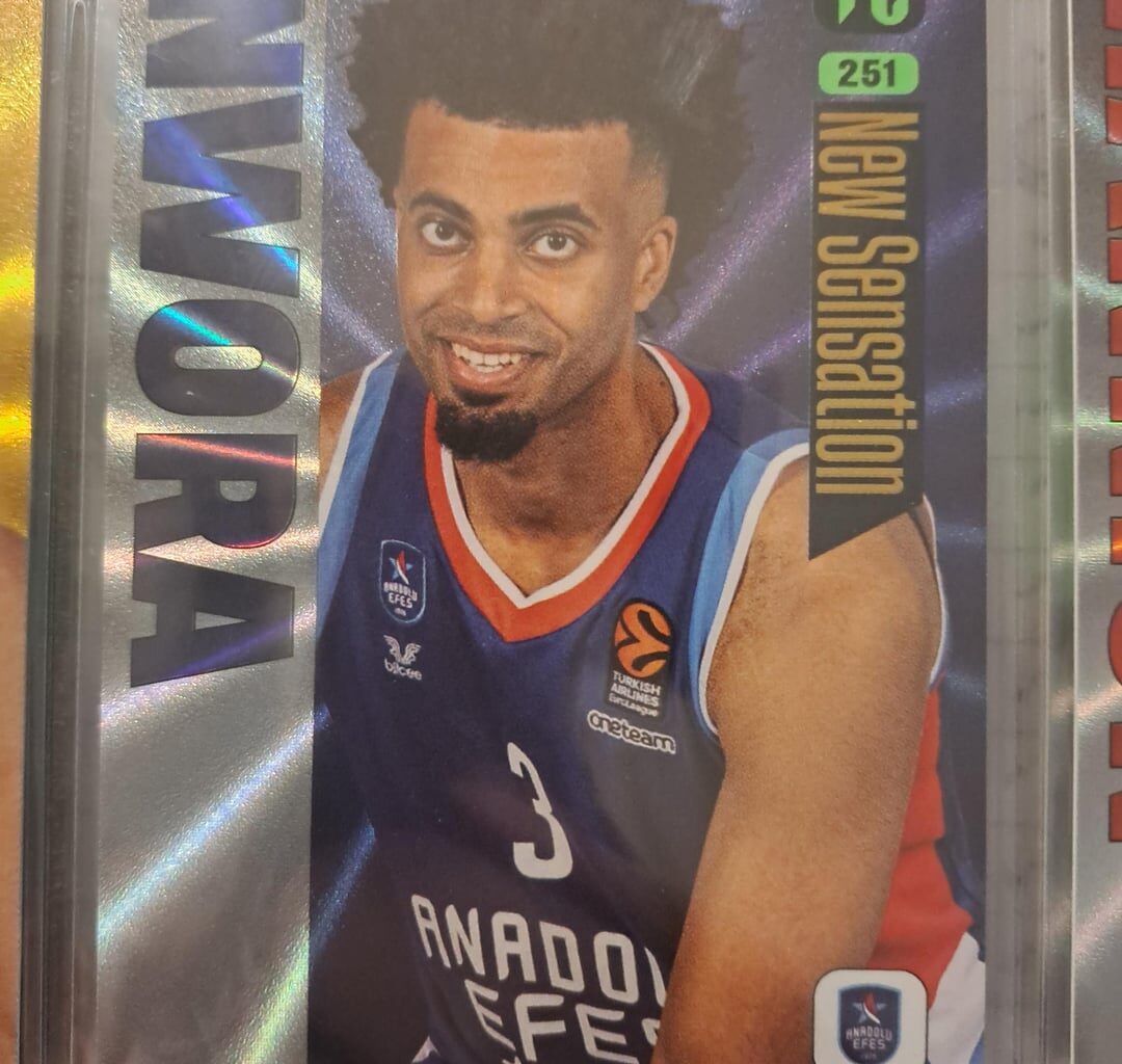 Been collecting a European set, cool how old bucks pop up into there