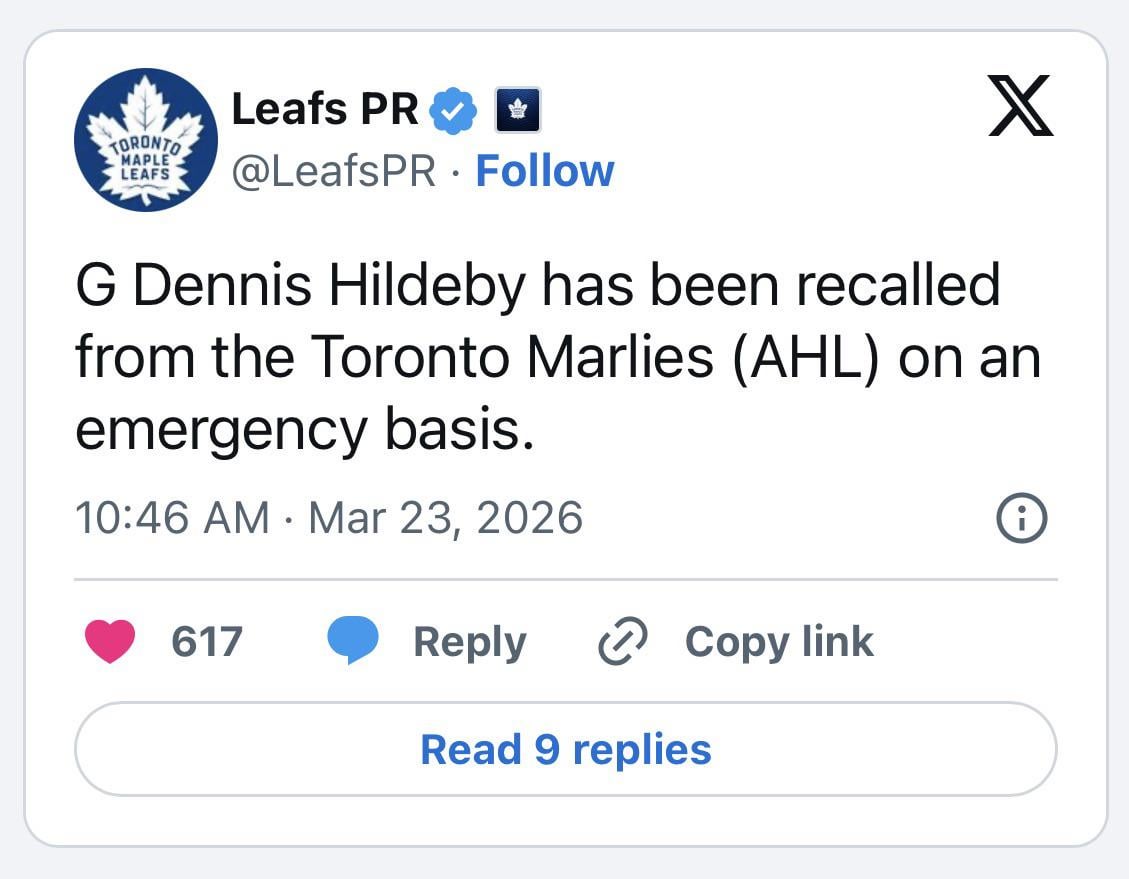 Stolarz on ice, but Leafs recall Hildeby on emergency basis