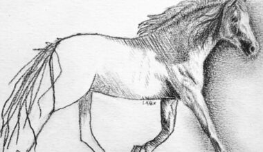 Ben Saraf rookie season