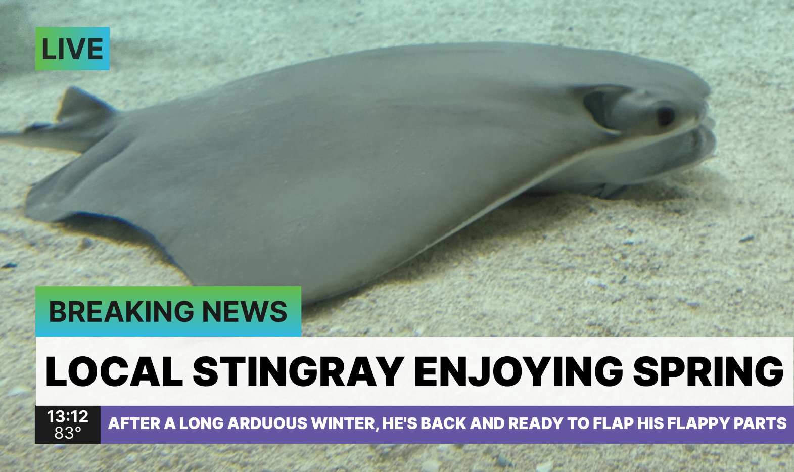 ST/PGT: At least the game was entertaining, yeah? [F: 3-5]