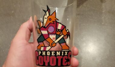 Sweet Goodwill Find Today