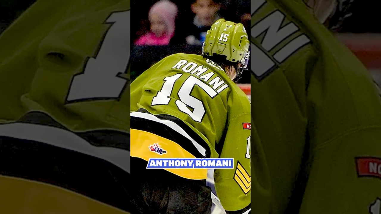 Anthony Romani is 'found money' for the Canucks, moving forward