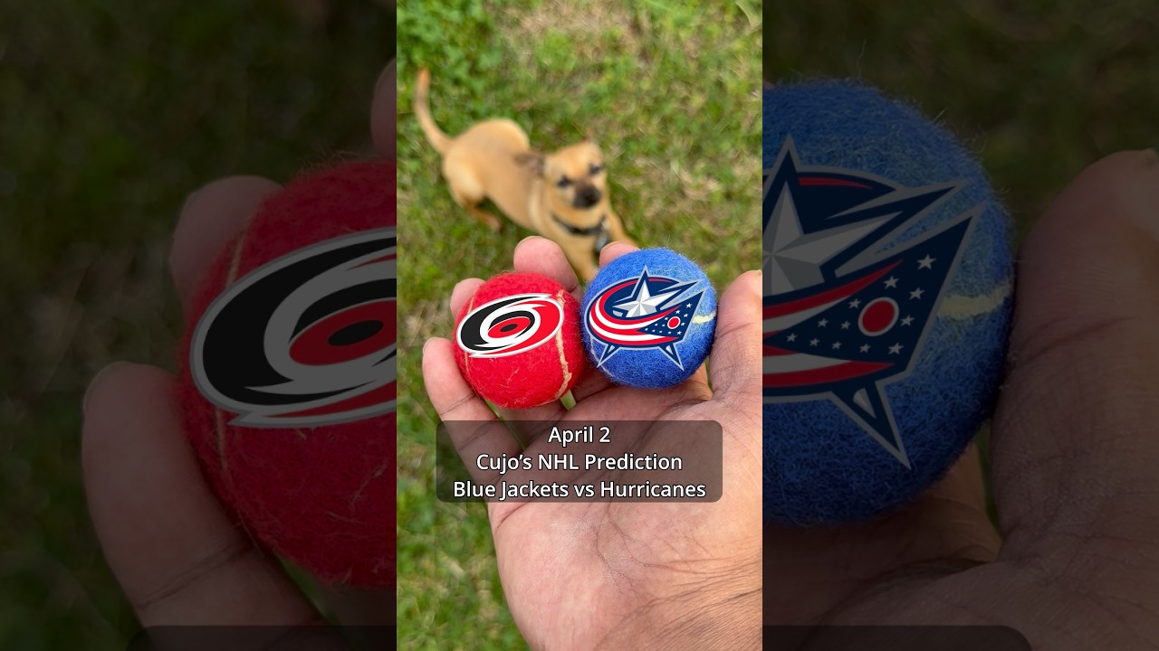 Cujo’s NHL Picks | Columbus Blue Jackets vs Carolina Hurricanes 🏒 04-02-2026 #CujoCatches