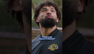 Kyren & Kevin's new koala friends 🐨🇦🇺 #nfl #rams #shorts