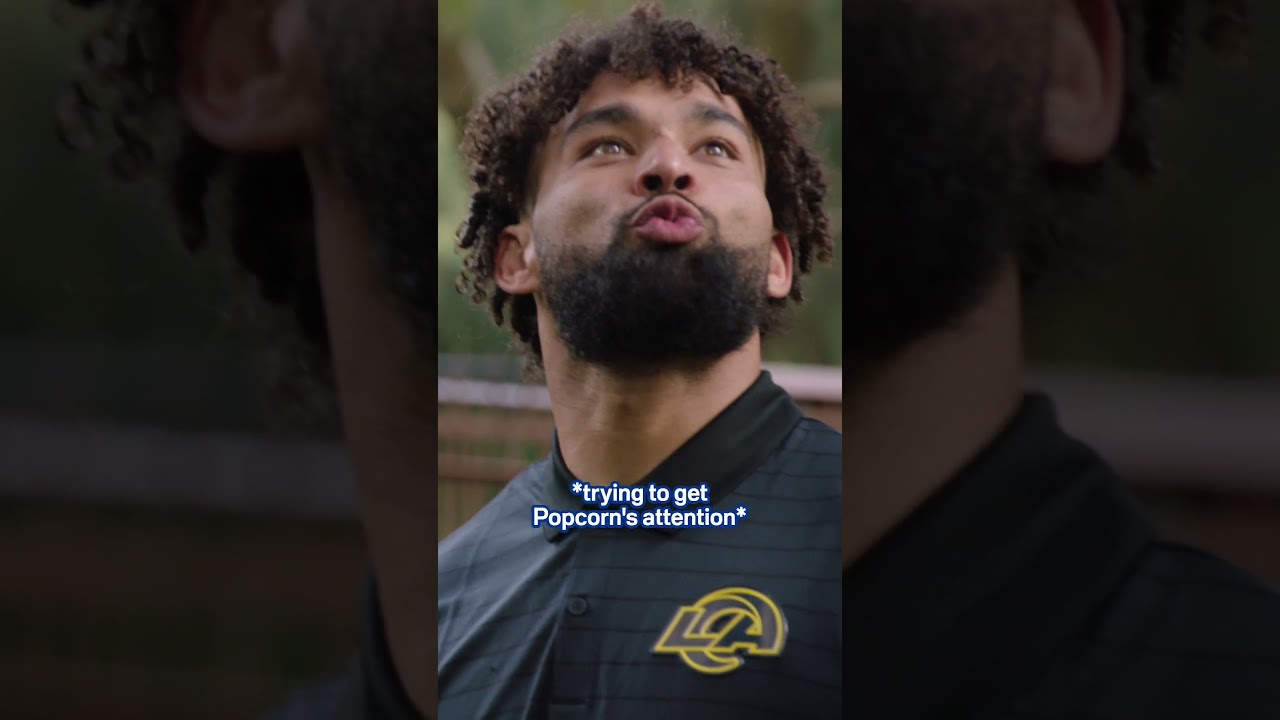 Kyren & Kevin's new koala friends 🐨🇦🇺 #nfl #rams #shorts