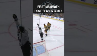 Cool(ey) story, bro 😎🦣