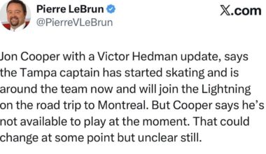 Heddy update!