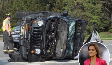 Days after resignation, Dianna Russini rescues elderly man and dog from overturned jeep