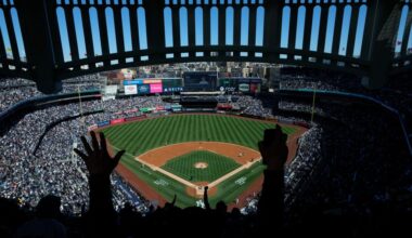 Yankees fans are begging: Stop the ‘incessant’ stadium sounds