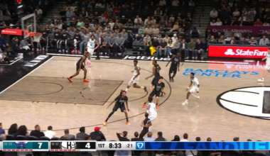 The new Hornets basketball is beautiful