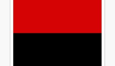 Breaking: amidst rumored spending cuts by new owner Tom Dundon, new Portland Trail Blazers logo leaks online.