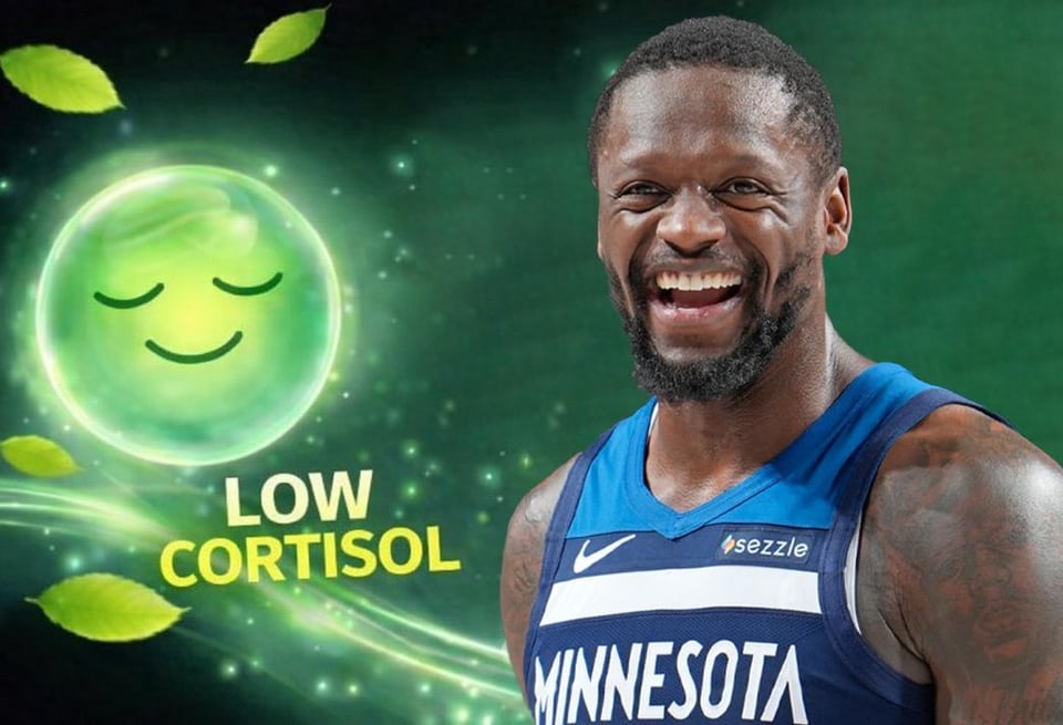 Somebody asked for non-AI versions of the meme so I made it (+ a bonus!)