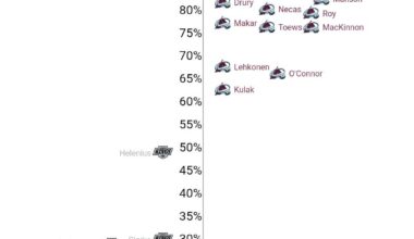 The kings play style is so frustrating to watch