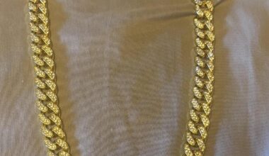 Best Fan Merch Giveaway of the Season by FAR! Fan Chain ⛓️‍💥 is NICE ICE 🧊! St. Patrick’s Day ☘️ Game.