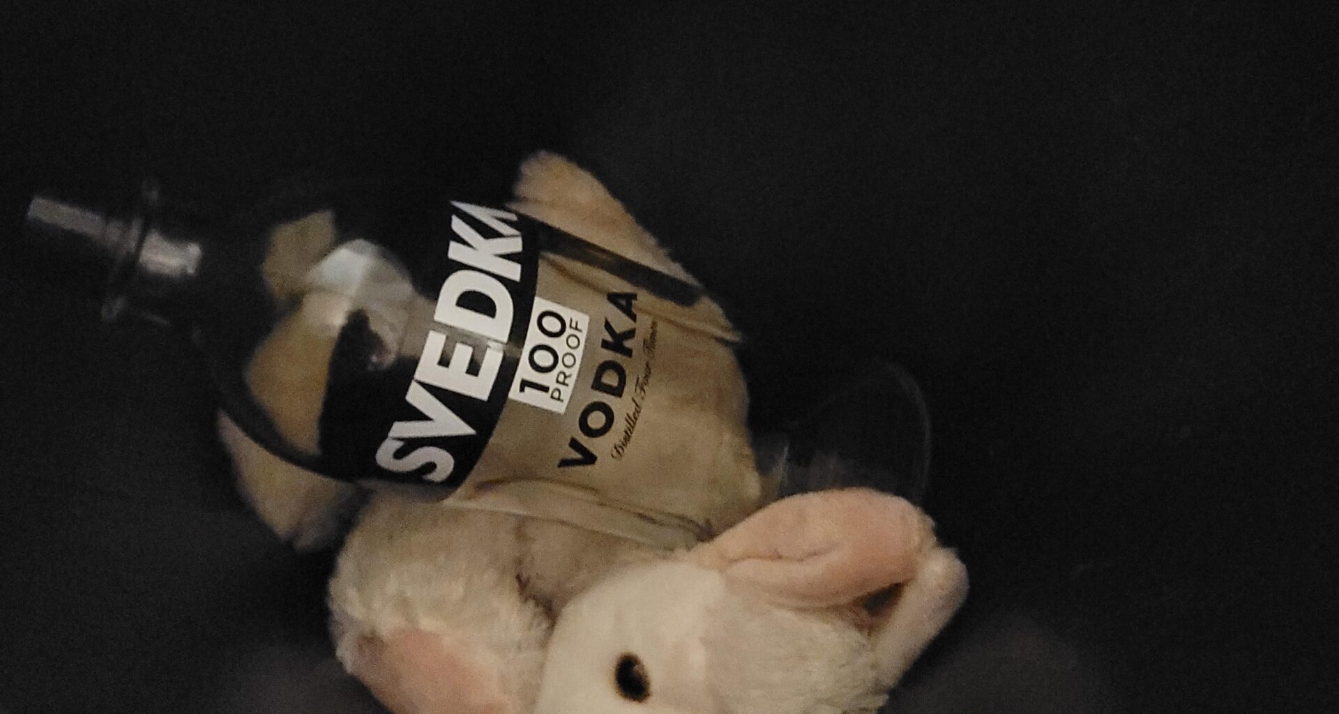 Back where we belong