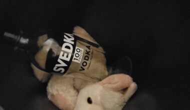 Back where we belong