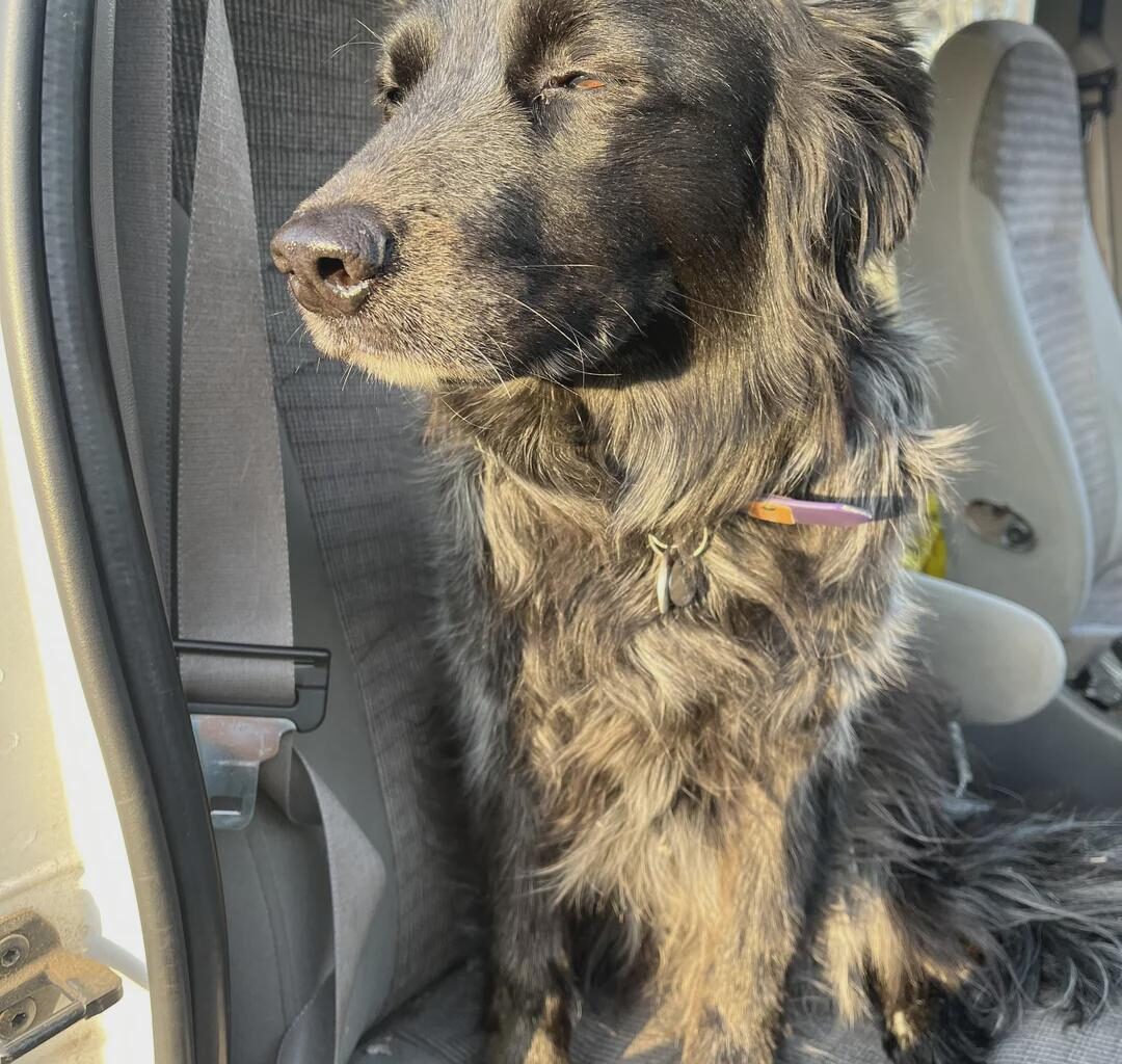 Flames (31-35-8) vs Golden Knights (33-16-16) - April 2nd - GDT