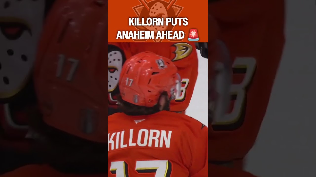 The Ducks Answer Back 😤🚨