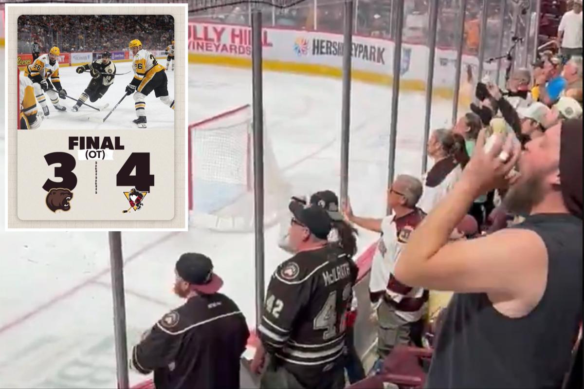 Hershey Bears fans throw debris, refuse to leave arena