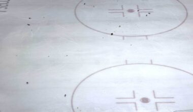 Hershey Bears fans throw debris on the ice after jumbotron replay appears to show Rutger McGroarty’s overtime game-winner didn’t go in