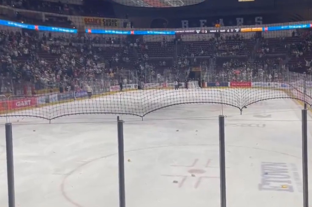 Hershey Bears fans were made after the loss.