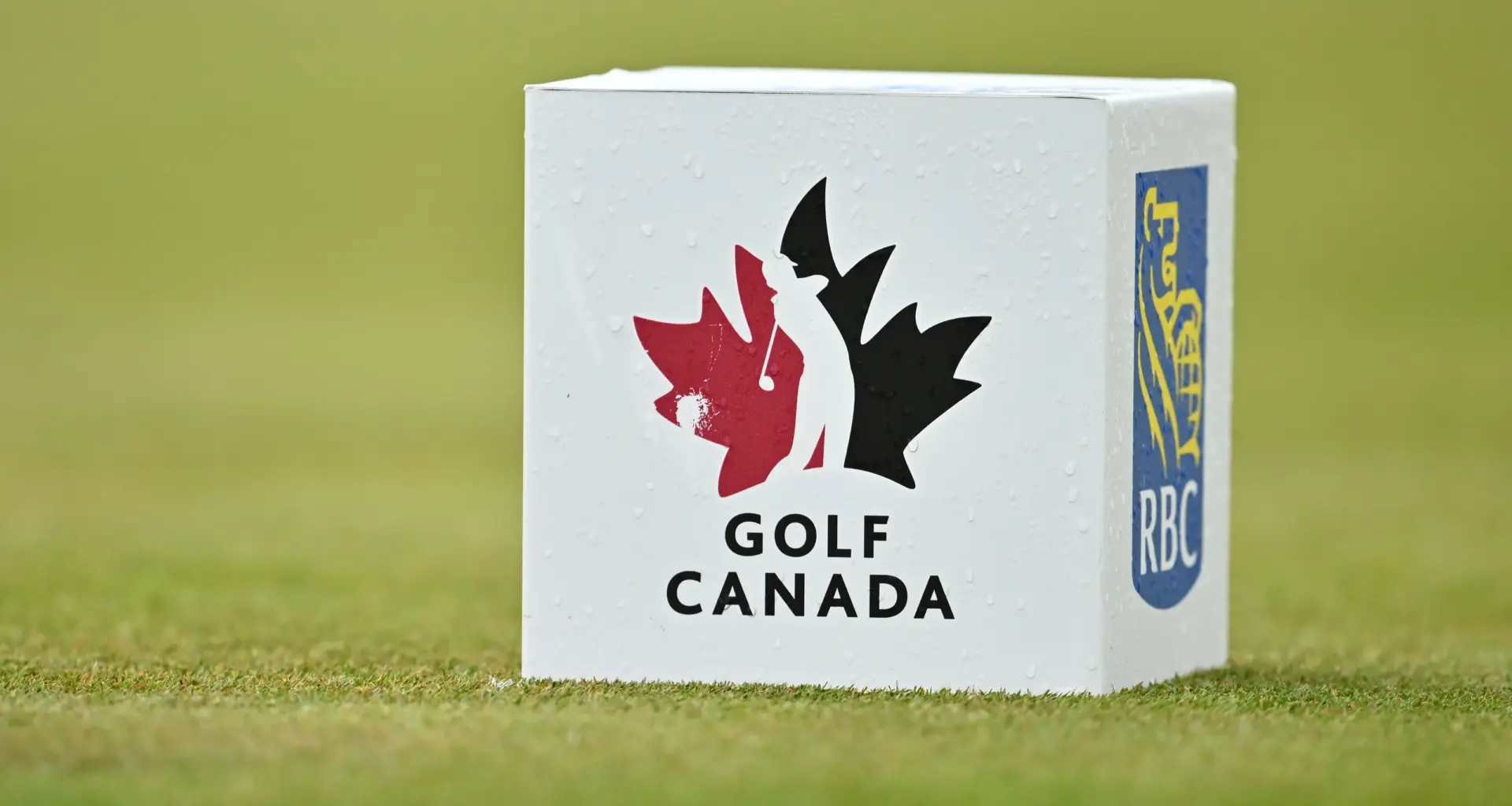 2026 RBC Canadian Open leaderboard, live updates, scores PGA Tour
