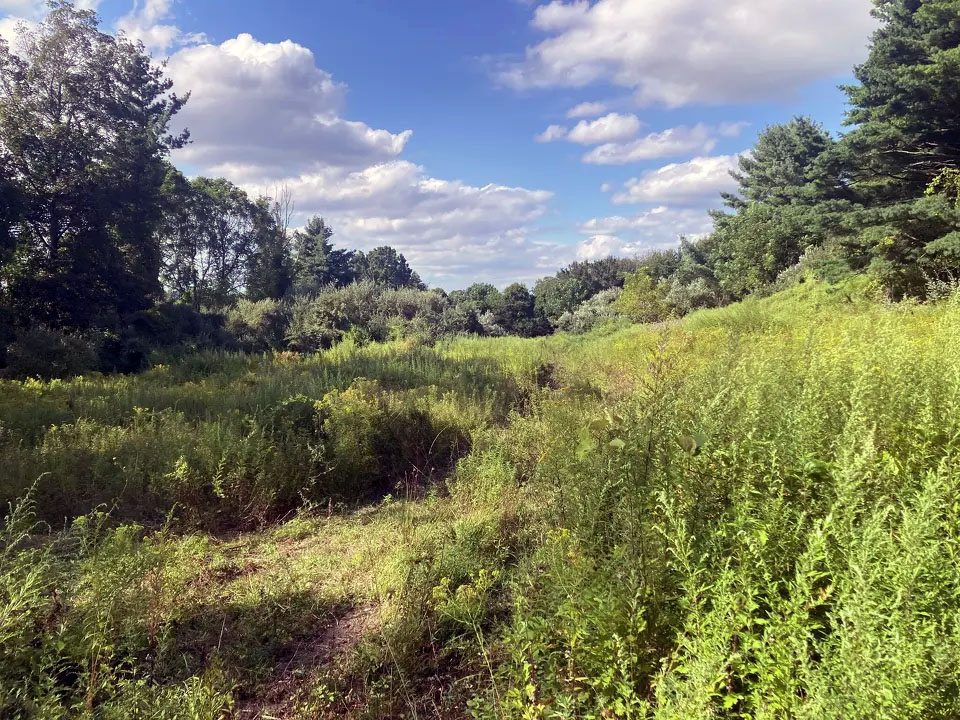 Newton soccer complex’s ‘Tuscany’ vibe to include grapes, flowers