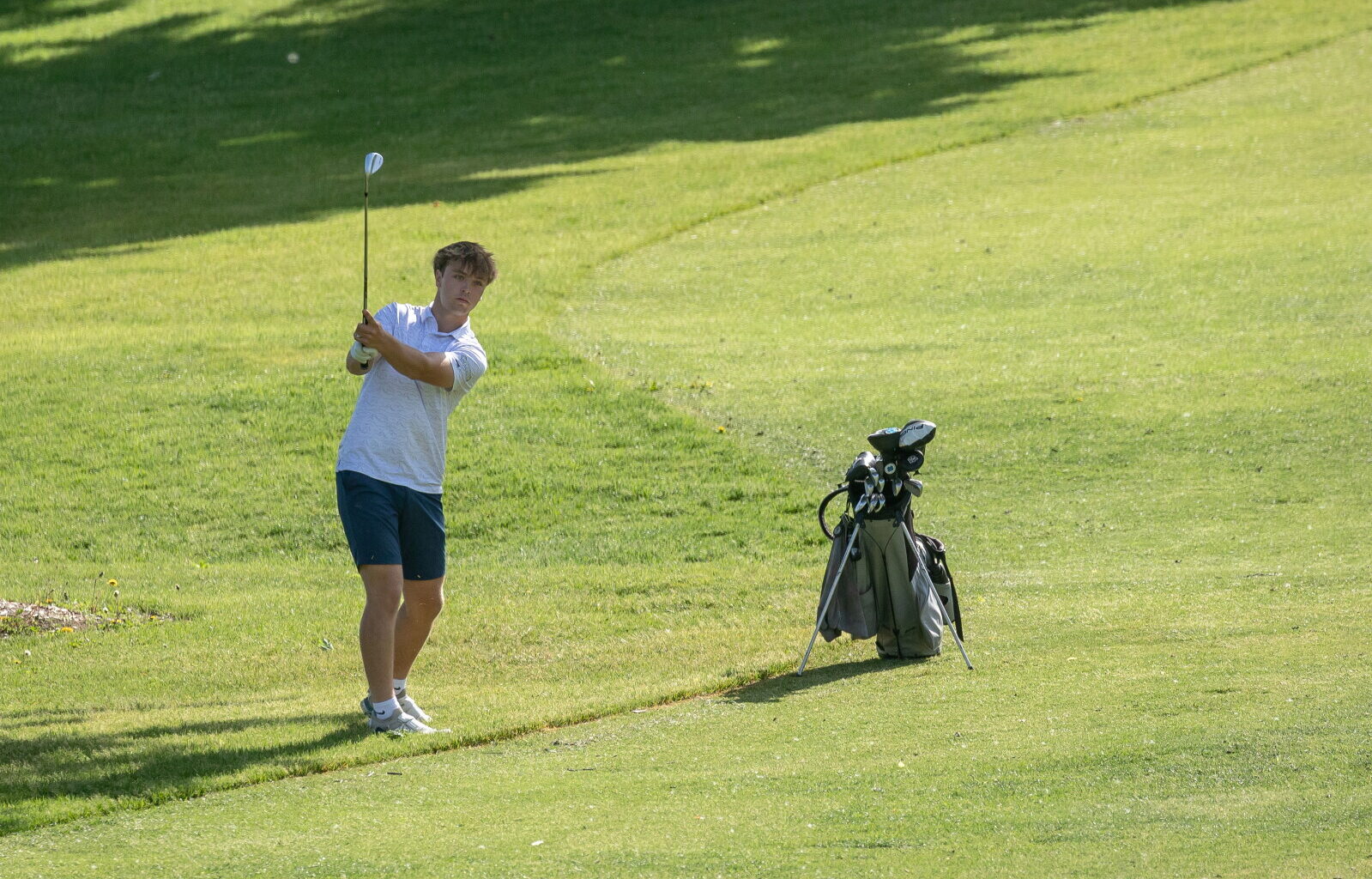 Meet the 2026 Post Bulletin All-Area Boys Golf Team - Post Bulletin