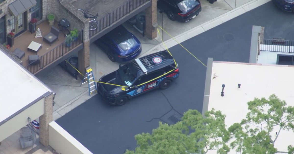 Mother found dead at Buckhead home, son in custody; family may be linked to NFL player – WSB-TV Channel 2