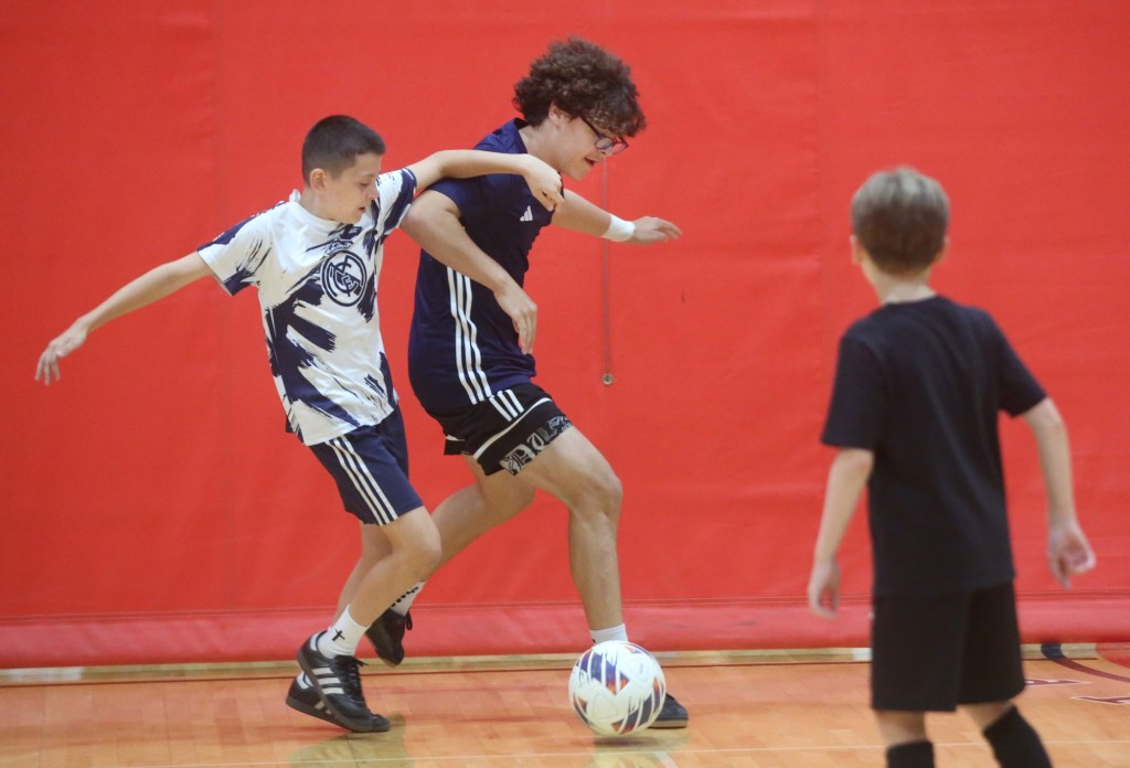 Area soccer experts hope World Cup drives interest and meaningful change