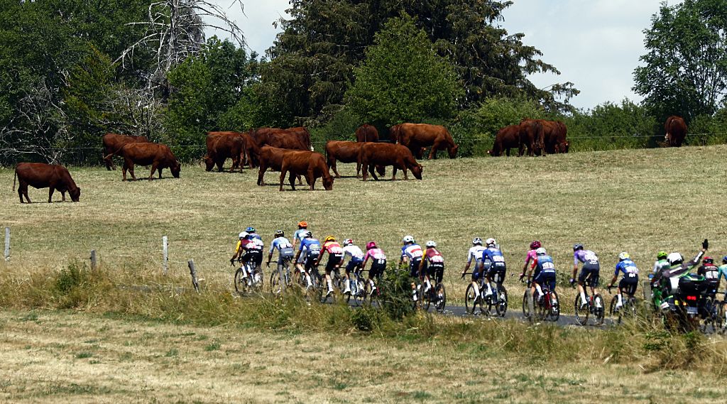 The pack of riders pictured in action during the stage 10 of the 2026 Tour de France cycling race, a stage of 167km from Aurillac to Le Lioran