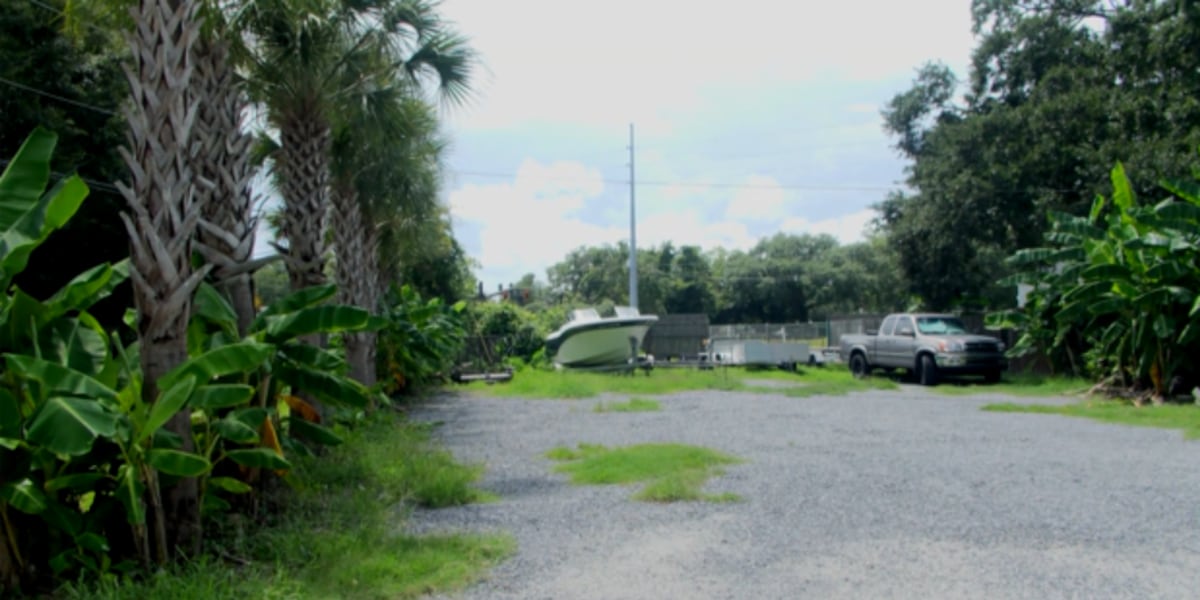 Proposed James Island mini-golf, retail development gets partial approval