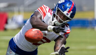 Arvell Reese impresses with big day Giants training camp