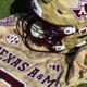 SportsLogos.Net News