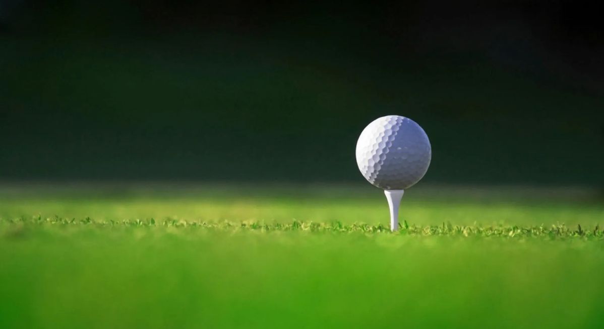 HS GOLF: Bartorillo leads Patriots past Hawkeyes – Wilkes-Barre Citizens' Voice
