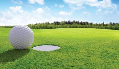 Taylor, Petta win Sinking Valley golf title -